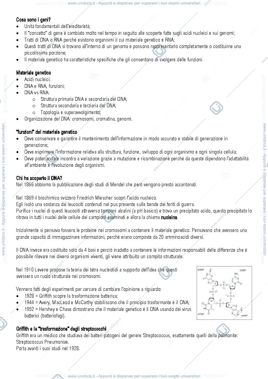 Anteprima pagina 1 — Genetica prof ferretti 