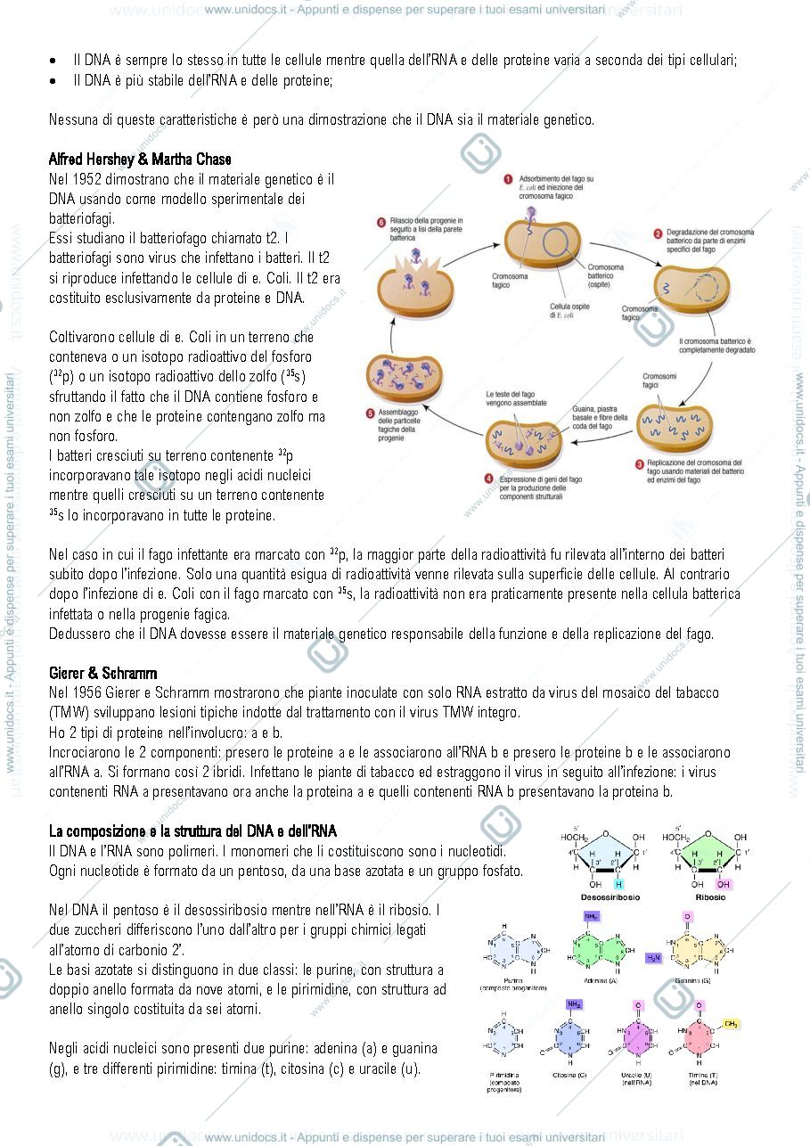 Anteprima pagina 3 — Genetica prof ferretti 