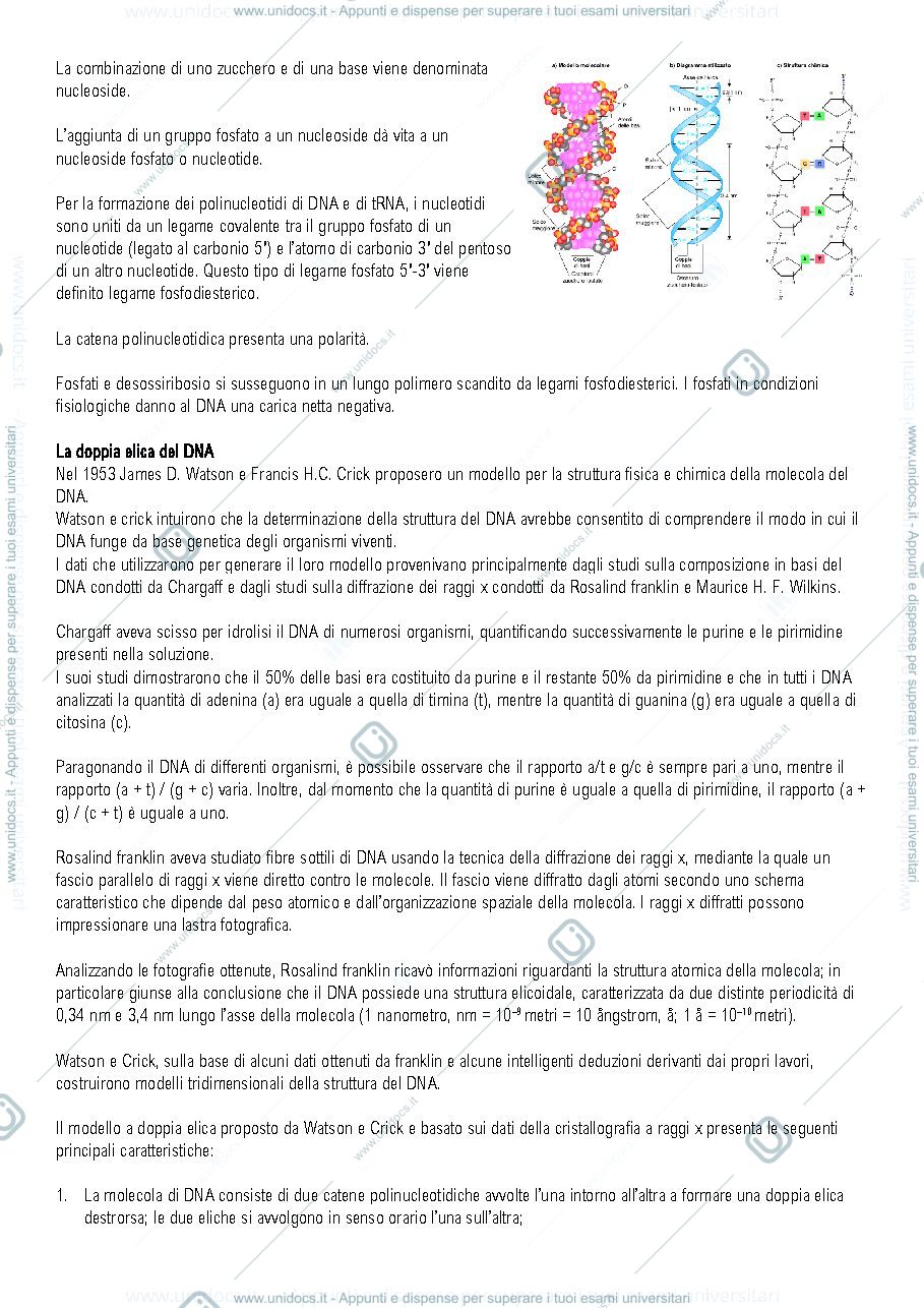 Anteprima pagina 4 — Genetica prof ferretti 