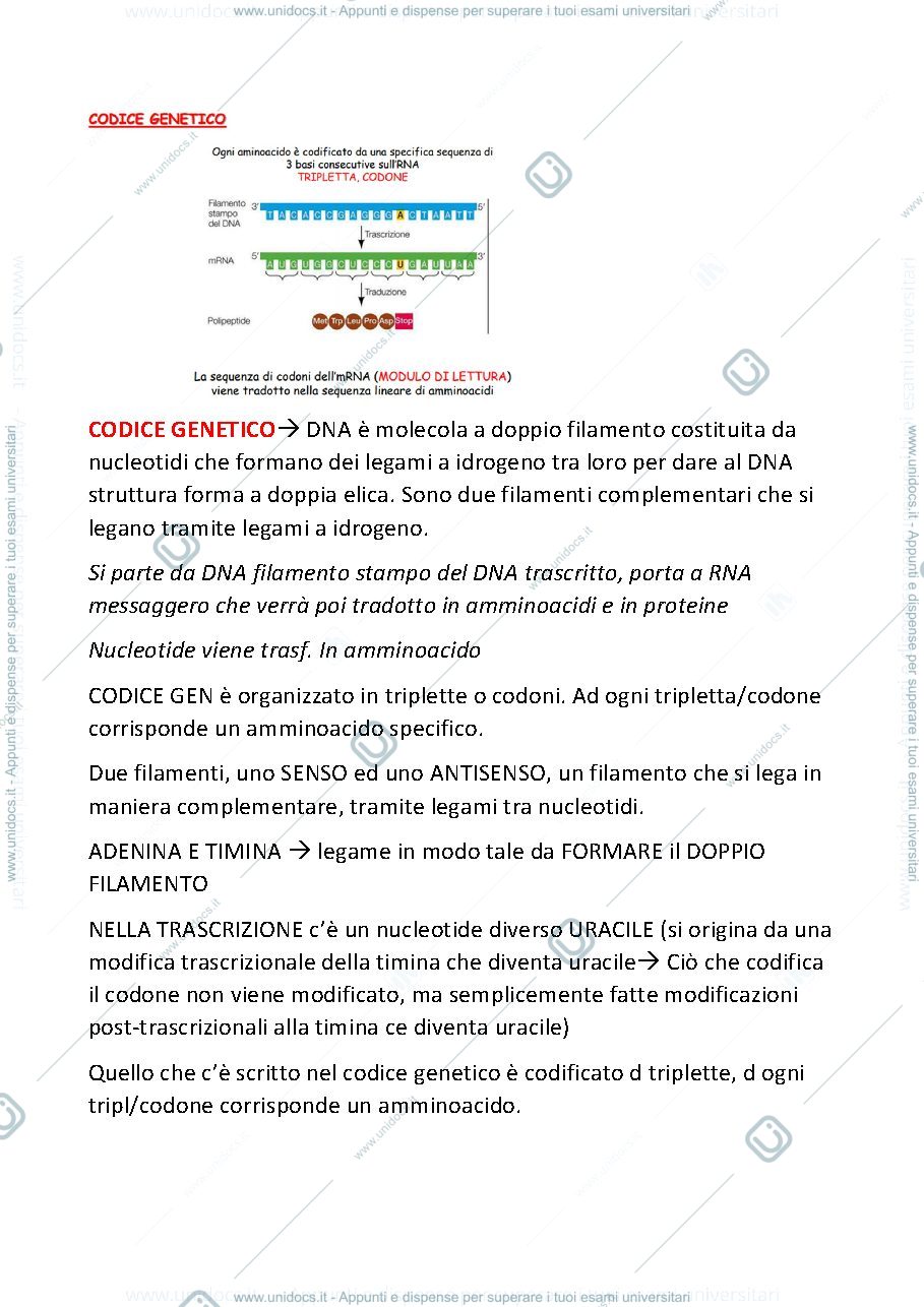 Anteprima pagina 1 — mutazioni genetiche terza parte prima lezione GENETICA MEDICA