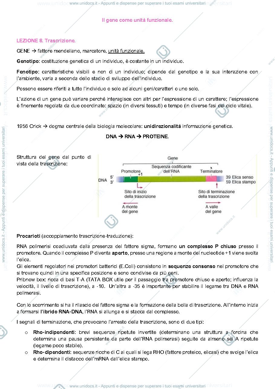 Anteprima pagina 1 — Il gene come unità funzionale