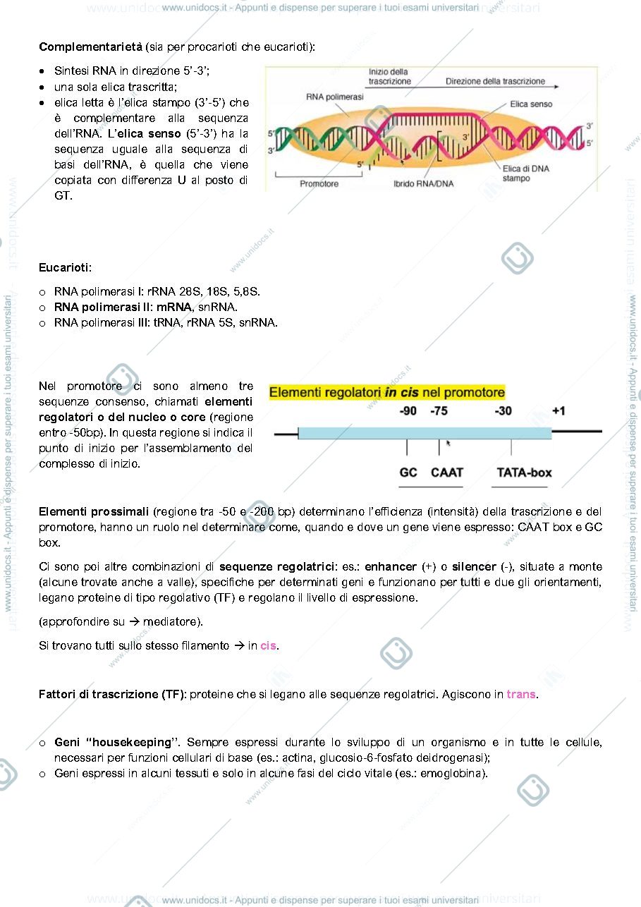 Anteprima pagina 2 — Il gene come unità funzionale