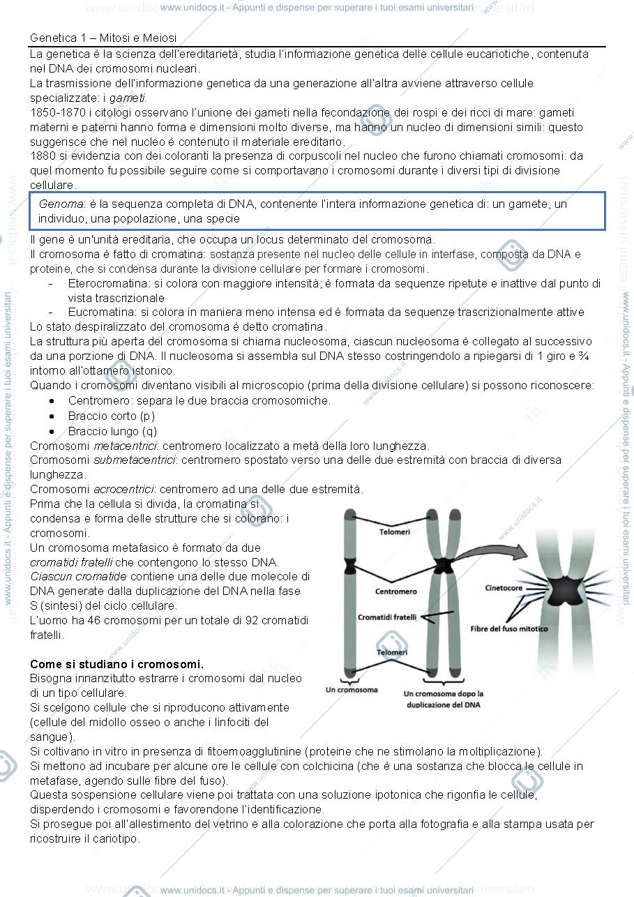 Anteprima pagina 1 — Genetica