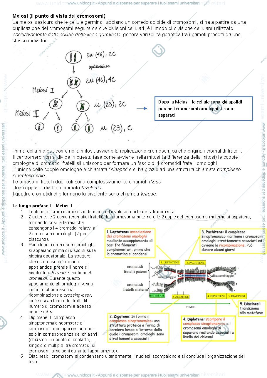 Anteprima pagina 4 — Genetica