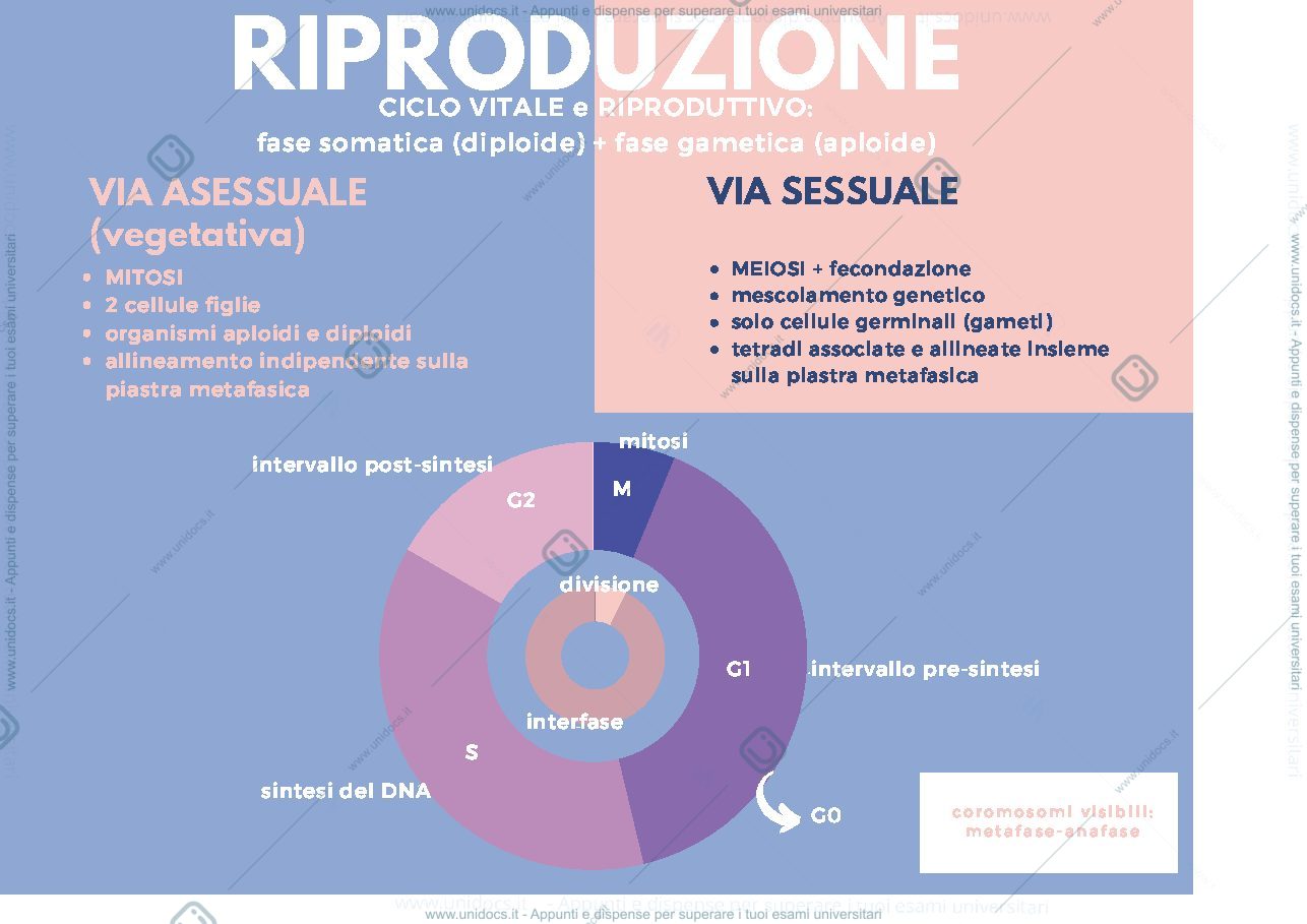 Anteprima pagina 1 — Genetica - parte 1