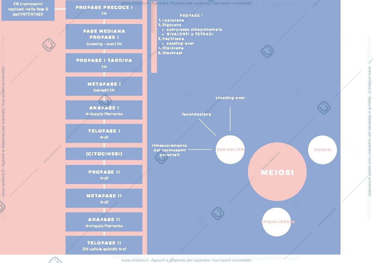 Anteprima pagina 2 — Genetica - parte 1