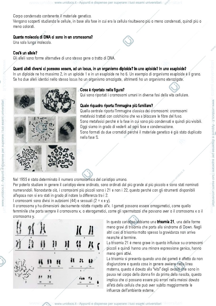 Anteprima pagina 3 — Genetica prof torroni 
