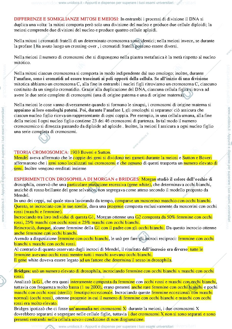 Anteprima pagina 1 — Genetica