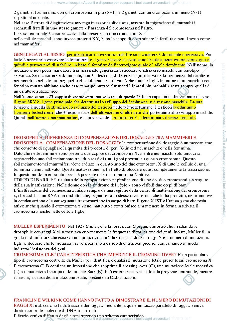 Anteprima pagina 2 — Genetica