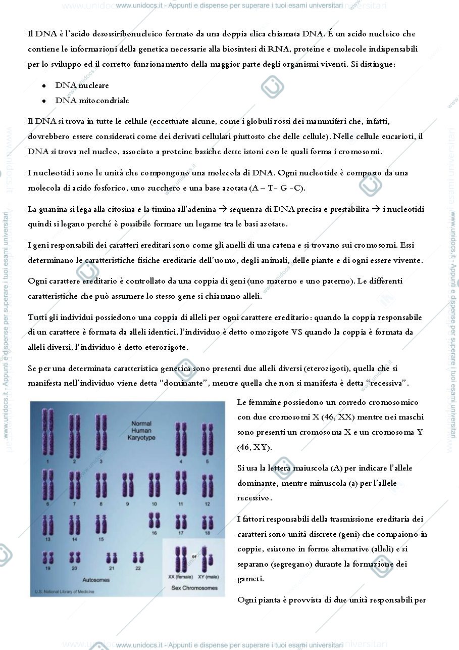 Anteprima pagina 2 — Appunti di genetica