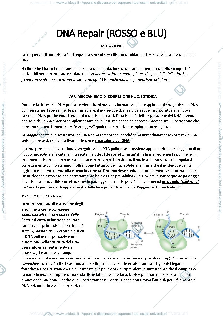 Anteprima pagina 1 — DNA Repair