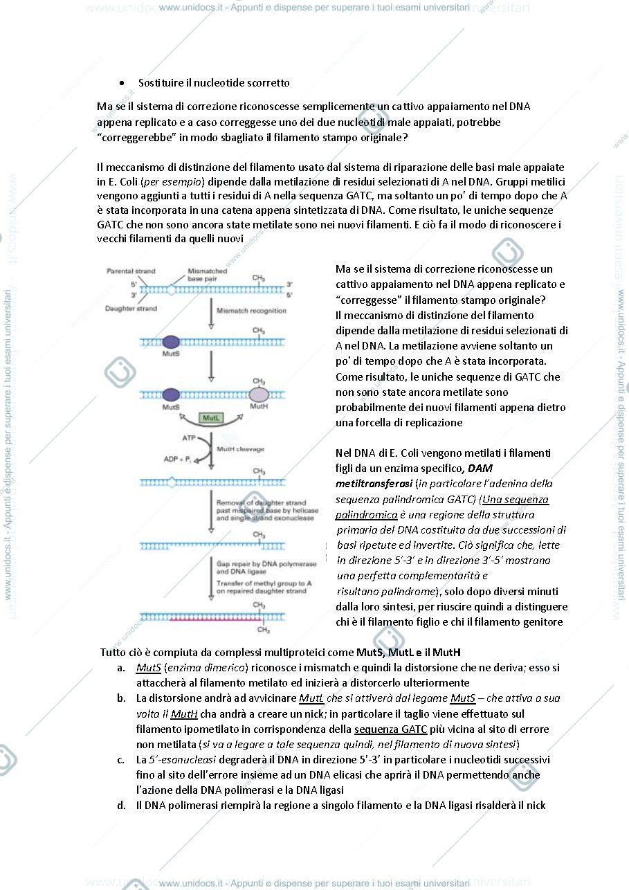 Anteprima pagina 3 — DNA Repair