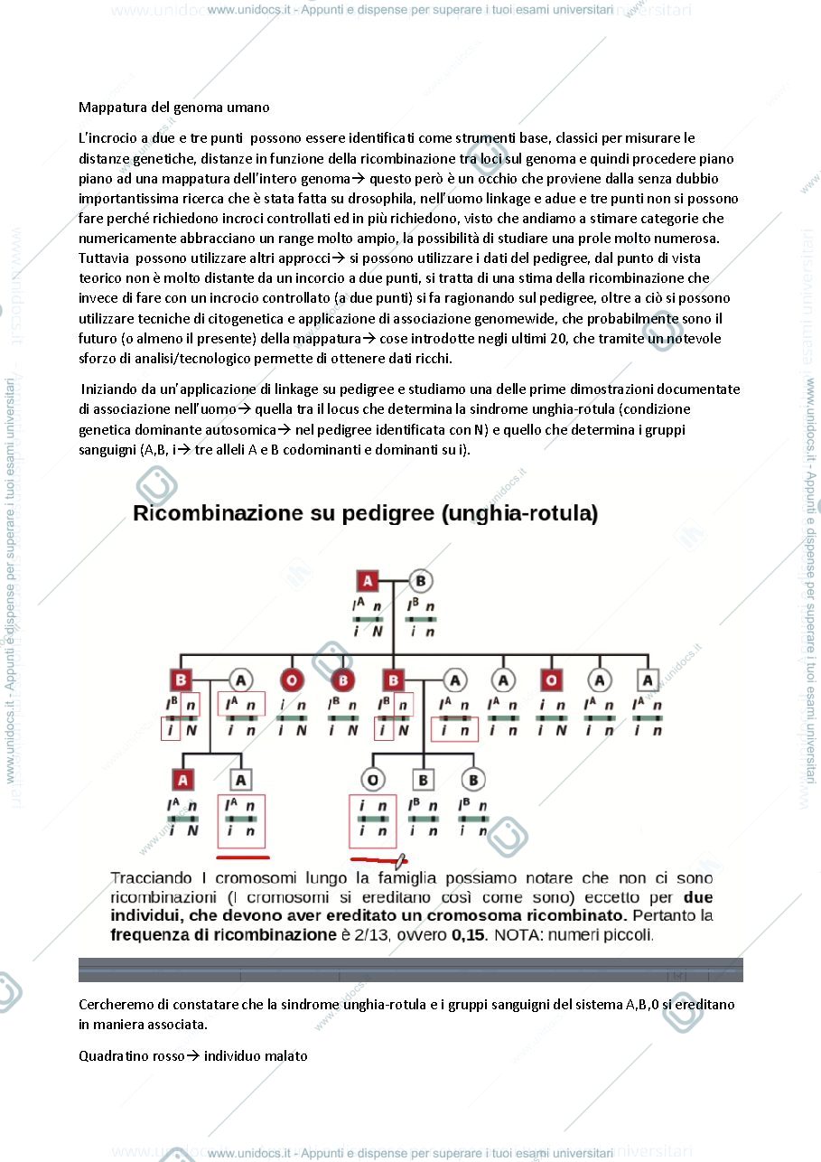 Anteprima pagina 1 — marcatori e progetto genoma umano 