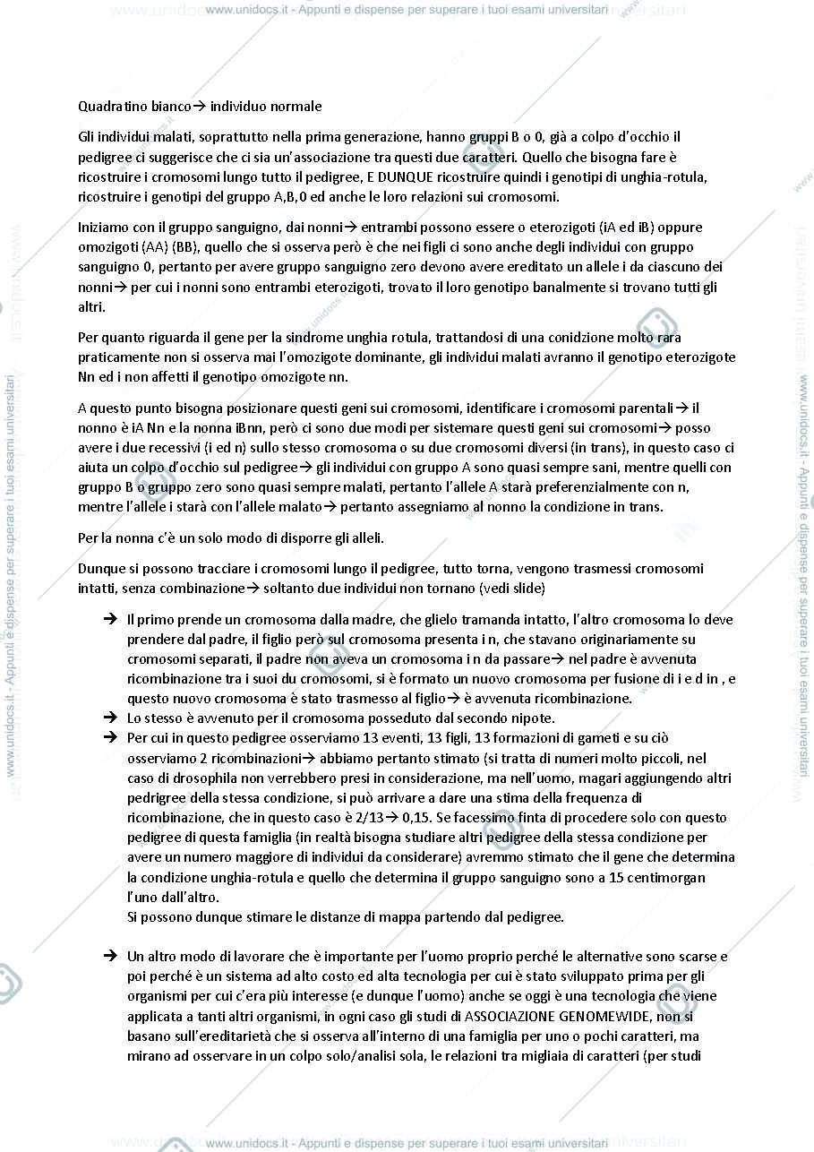 Anteprima pagina 2 — marcatori e progetto genoma umano 