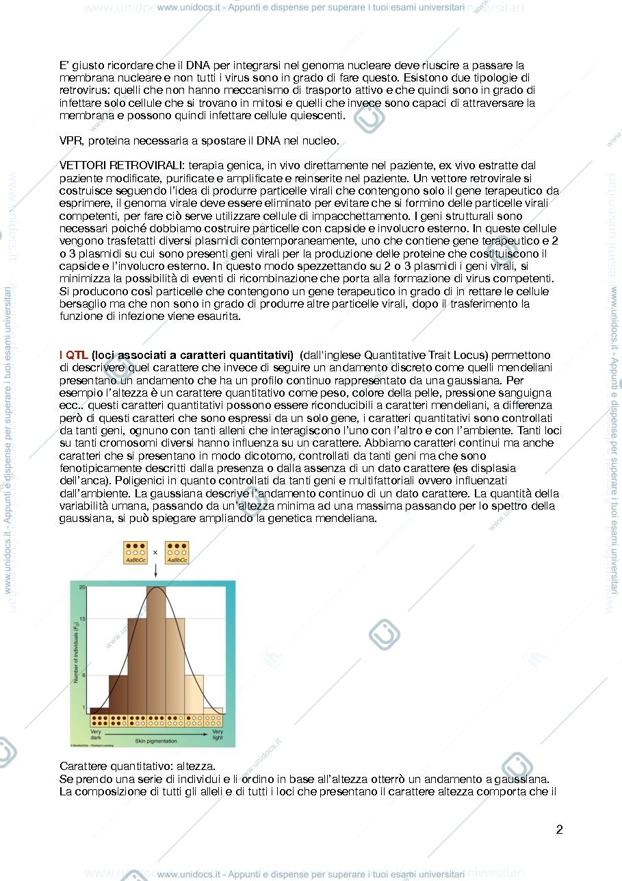 Anteprima pagina 2 — genetica 2 