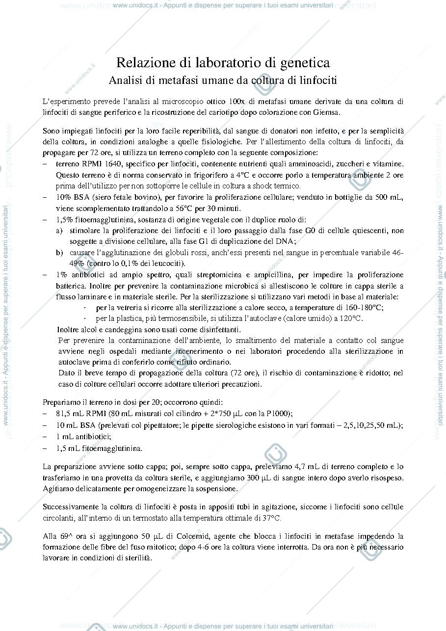 Anteprima pagina 1 — Relazione laboratorio di Genetica