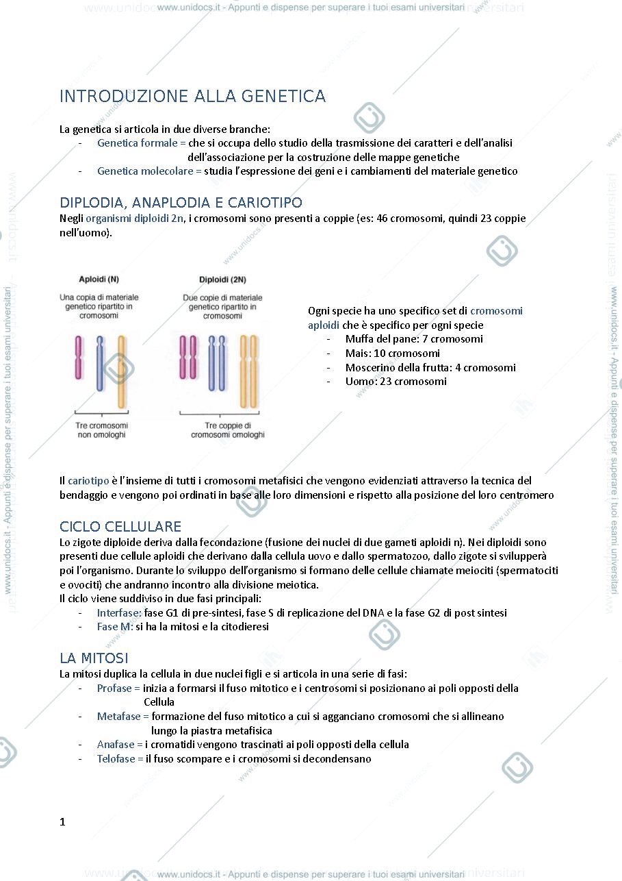 Anteprima pagina 1 — genetica consonni gabriella 