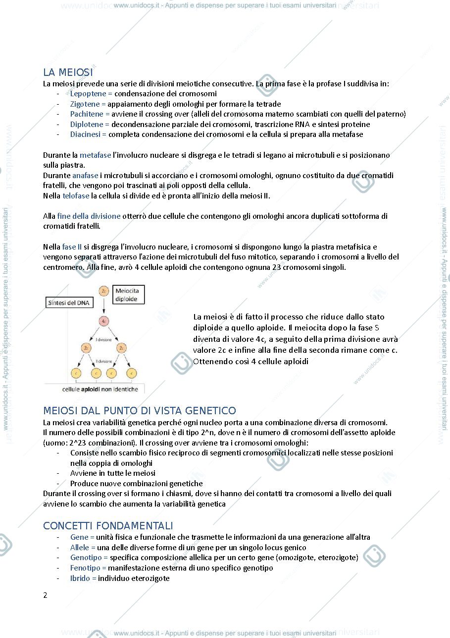 Anteprima pagina 2 — genetica consonni gabriella 