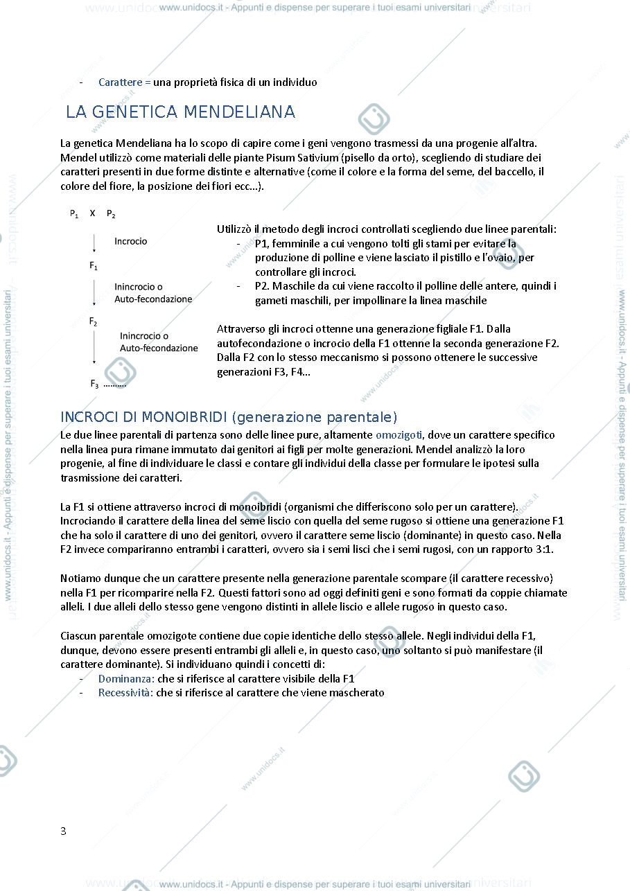 Anteprima pagina 3 — genetica consonni gabriella 
