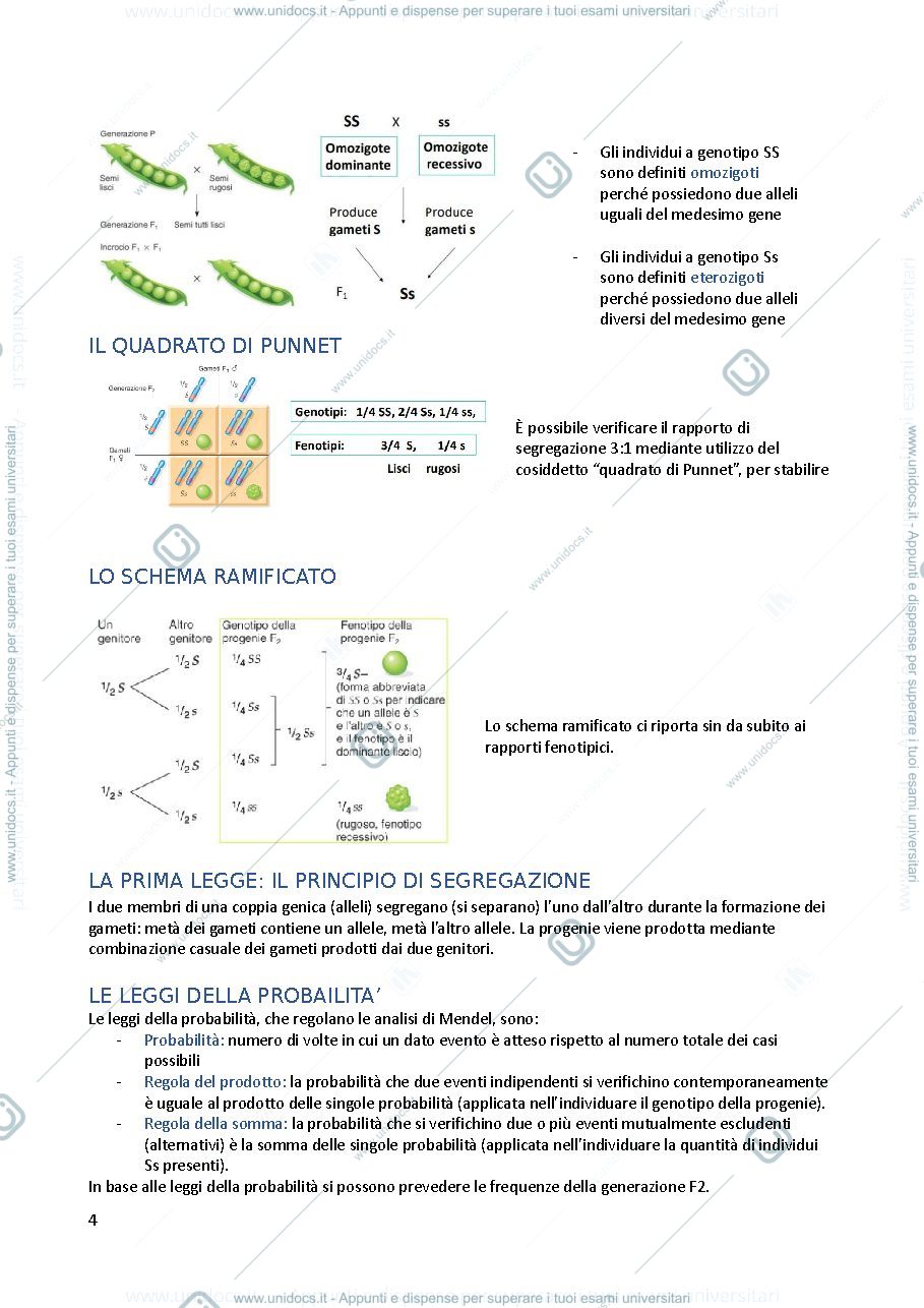 Anteprima pagina 4 — genetica consonni gabriella 