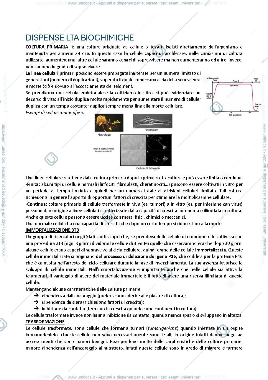 Anteprima pagina 1 — LTA biok