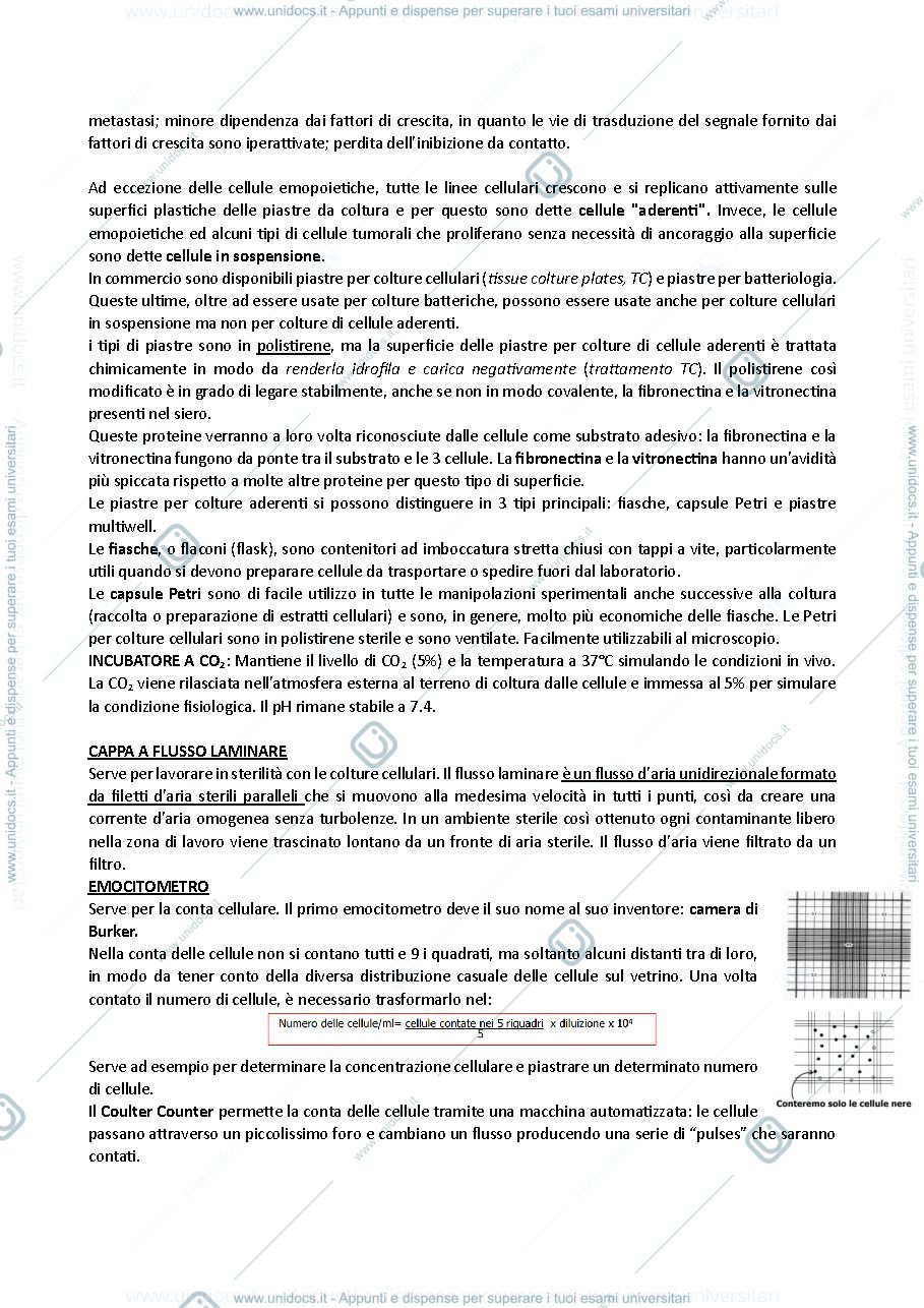 Anteprima pagina 2 — LTA biok