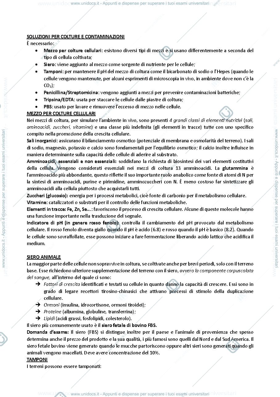 Anteprima pagina 3 — LTA biok