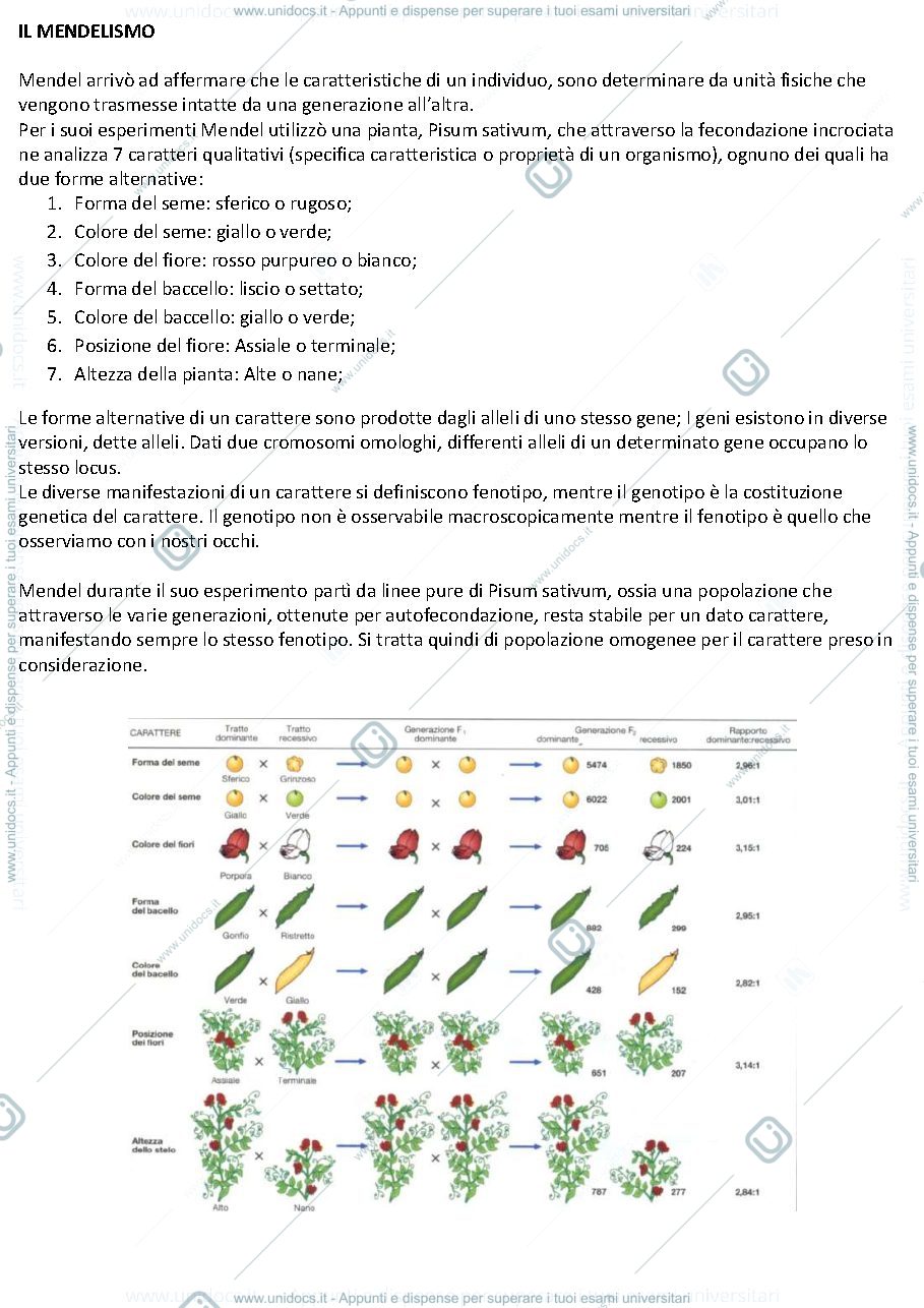Anteprima pagina 1 — GENETICA 