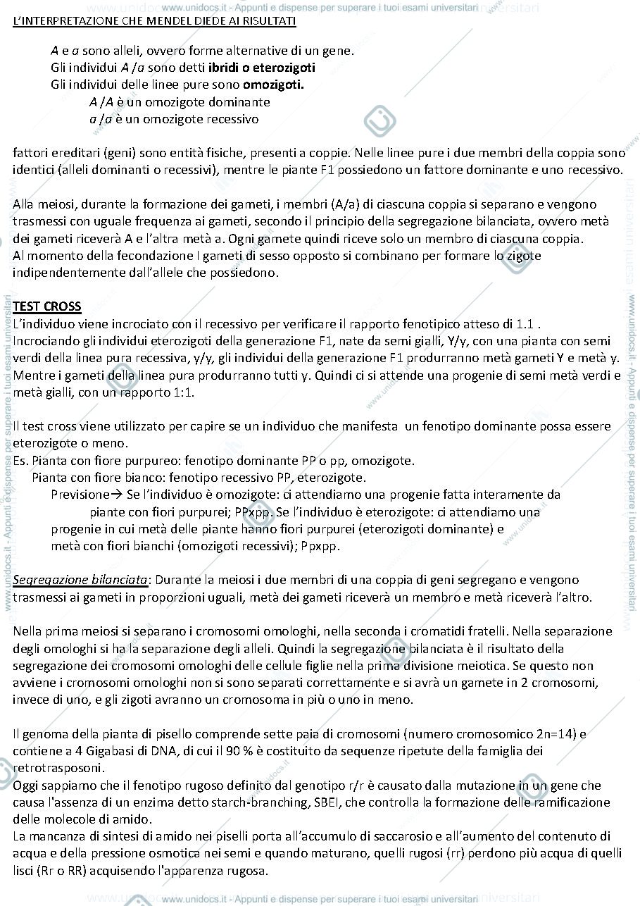Anteprima pagina 3 — GENETICA 