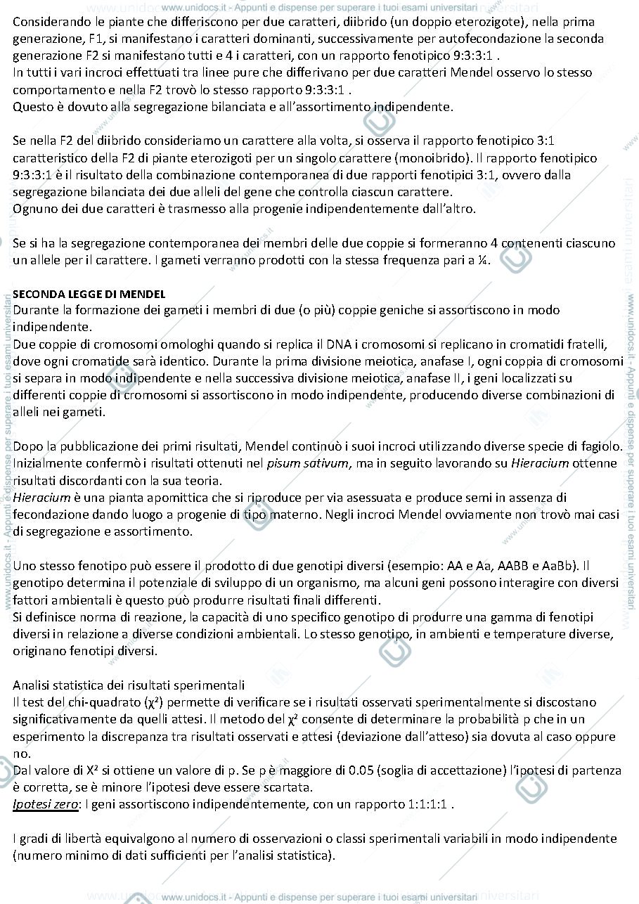 Anteprima pagina 4 — GENETICA 