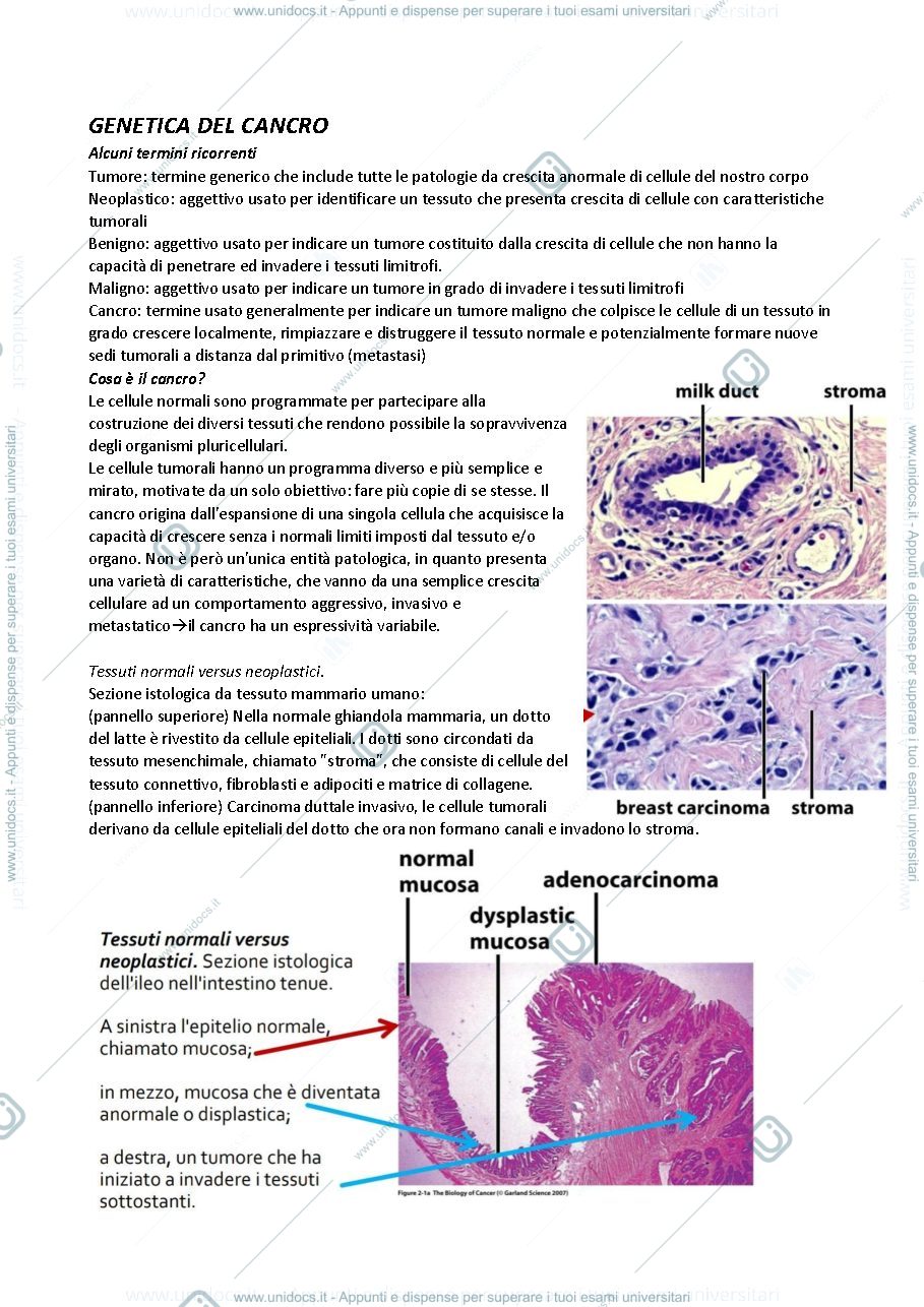 Anteprima pagina 1 — genetica del cancro