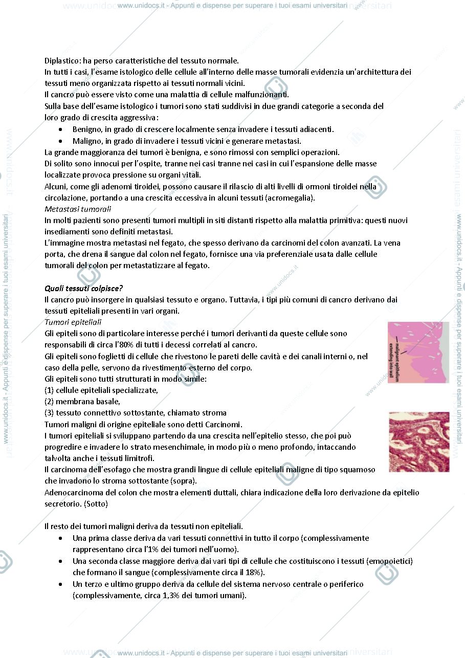 Anteprima pagina 2 — genetica del cancro