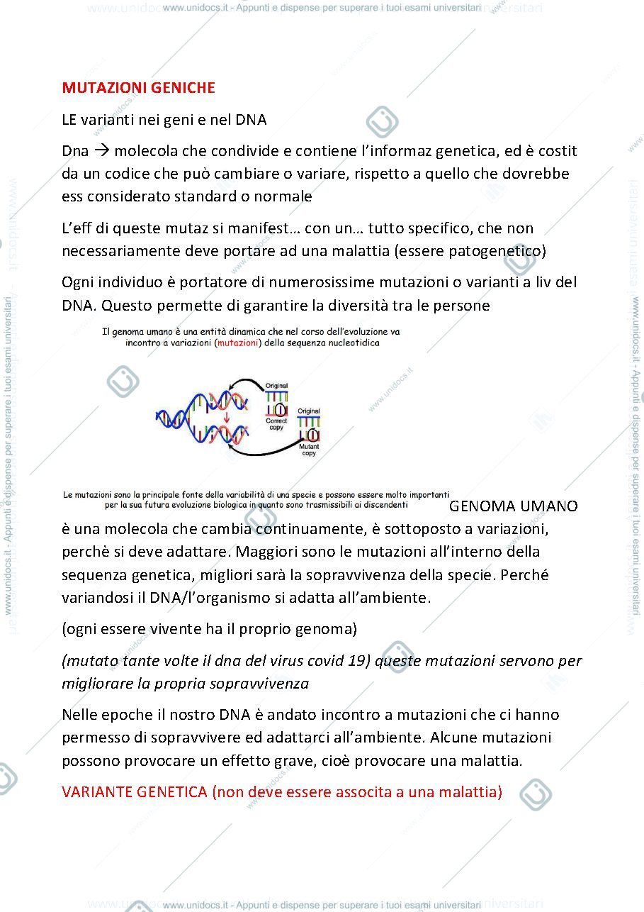Anteprima pagina 1 — Mutazioni geniche prima parte appunti sulla prima lezione di GENETICA MEDICA
