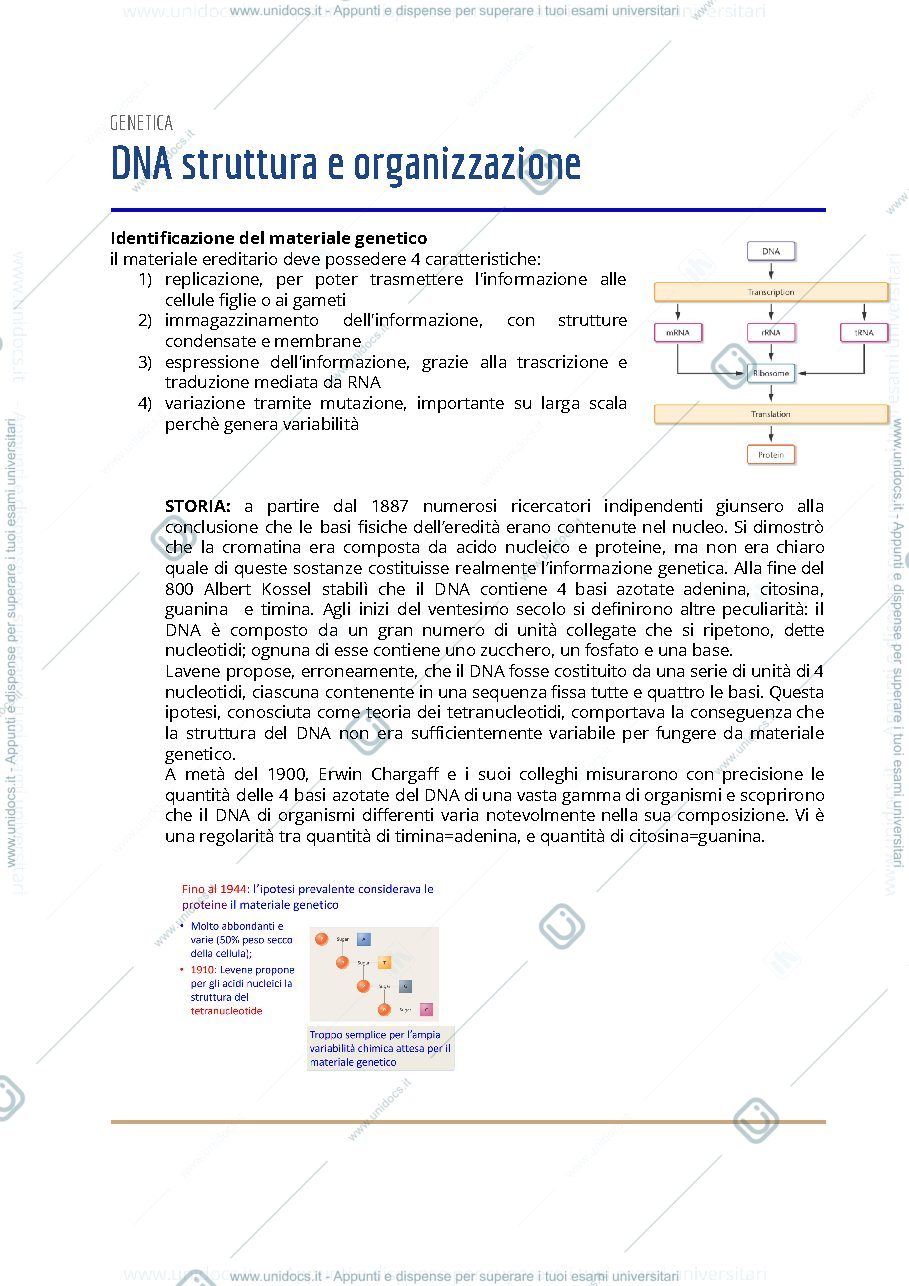 Anteprima pagina 1 — Appunti di genetica Pt 2