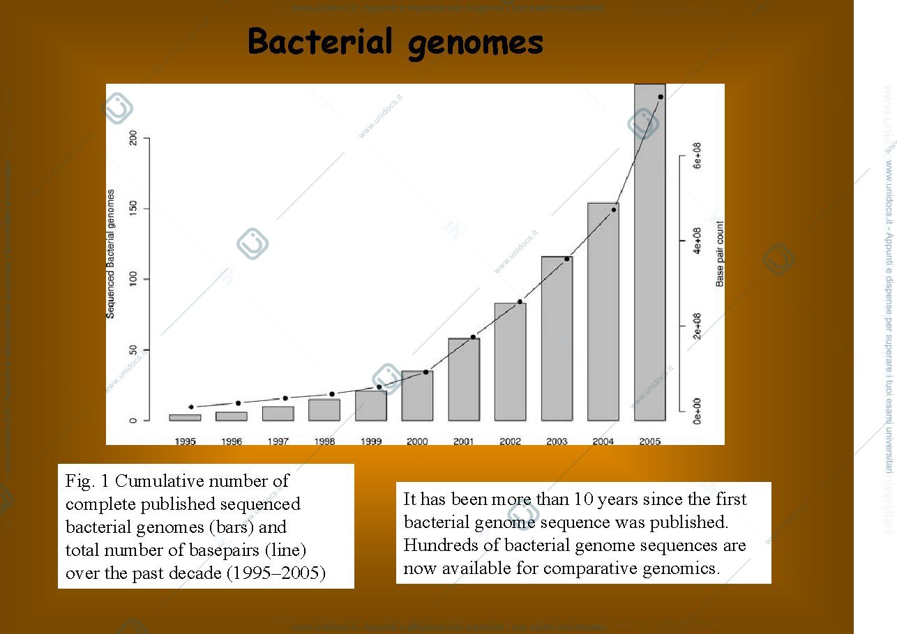 Anteprima pagina 3 — Genetica batterica