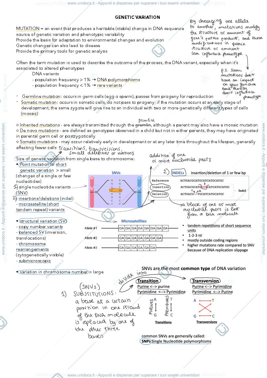 Anteprima pagina 1 — mutations 