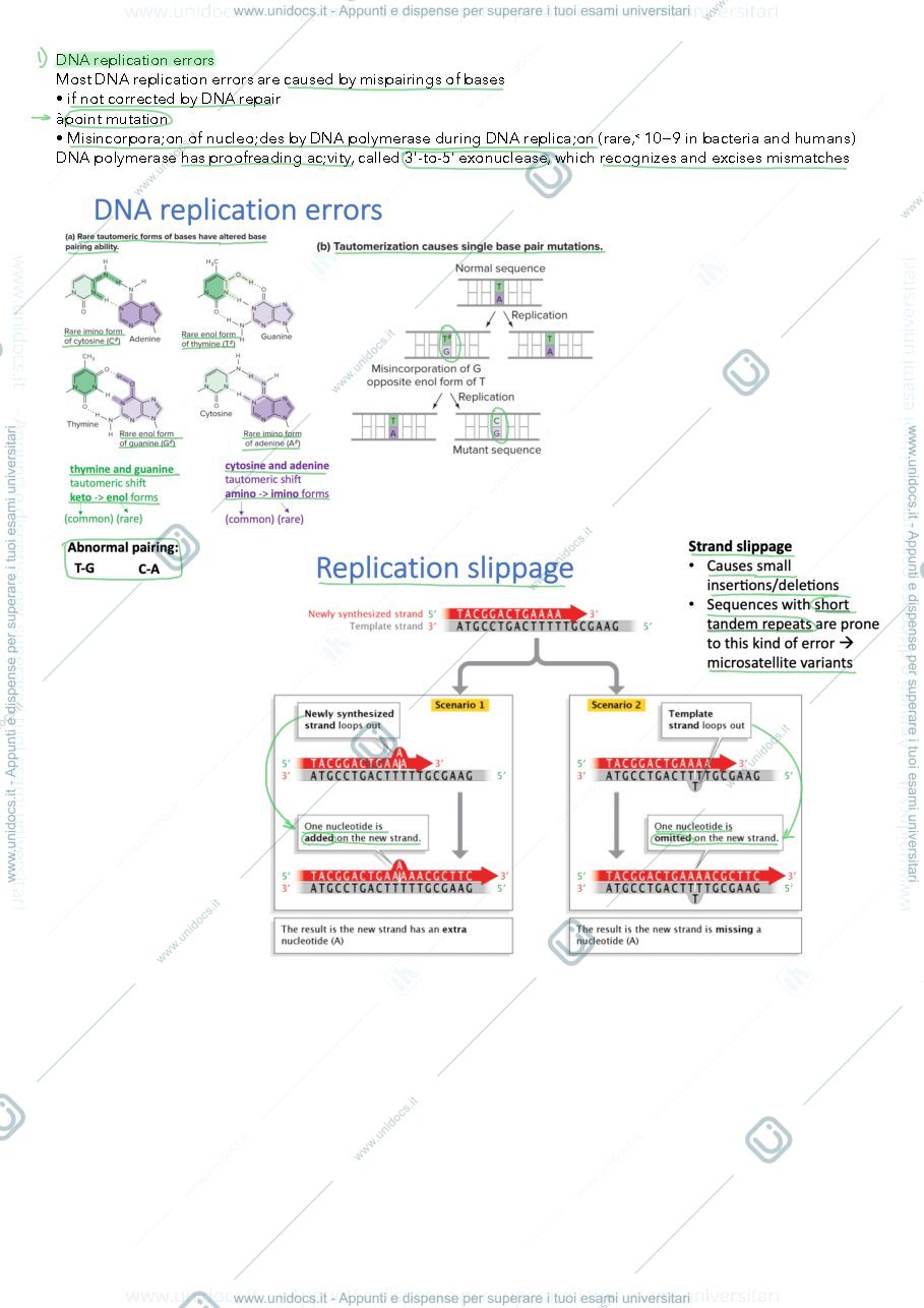 Anteprima pagina 2 — mutations 
