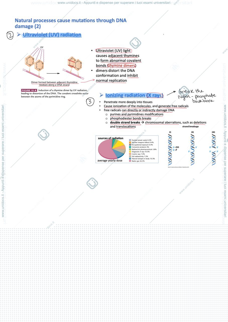 Anteprima pagina 3 — mutations 