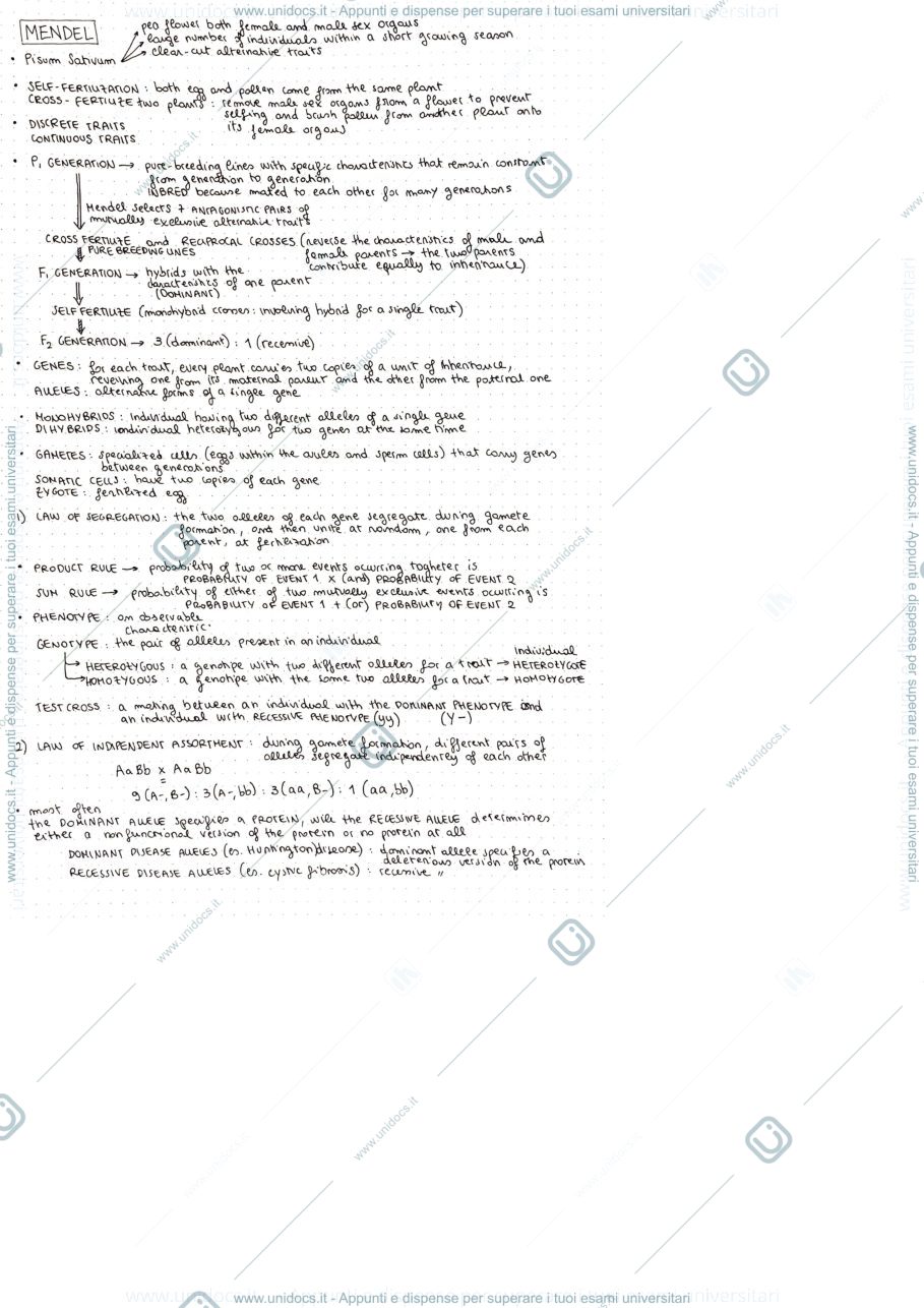 Anteprima pagina 1 — Genetics 