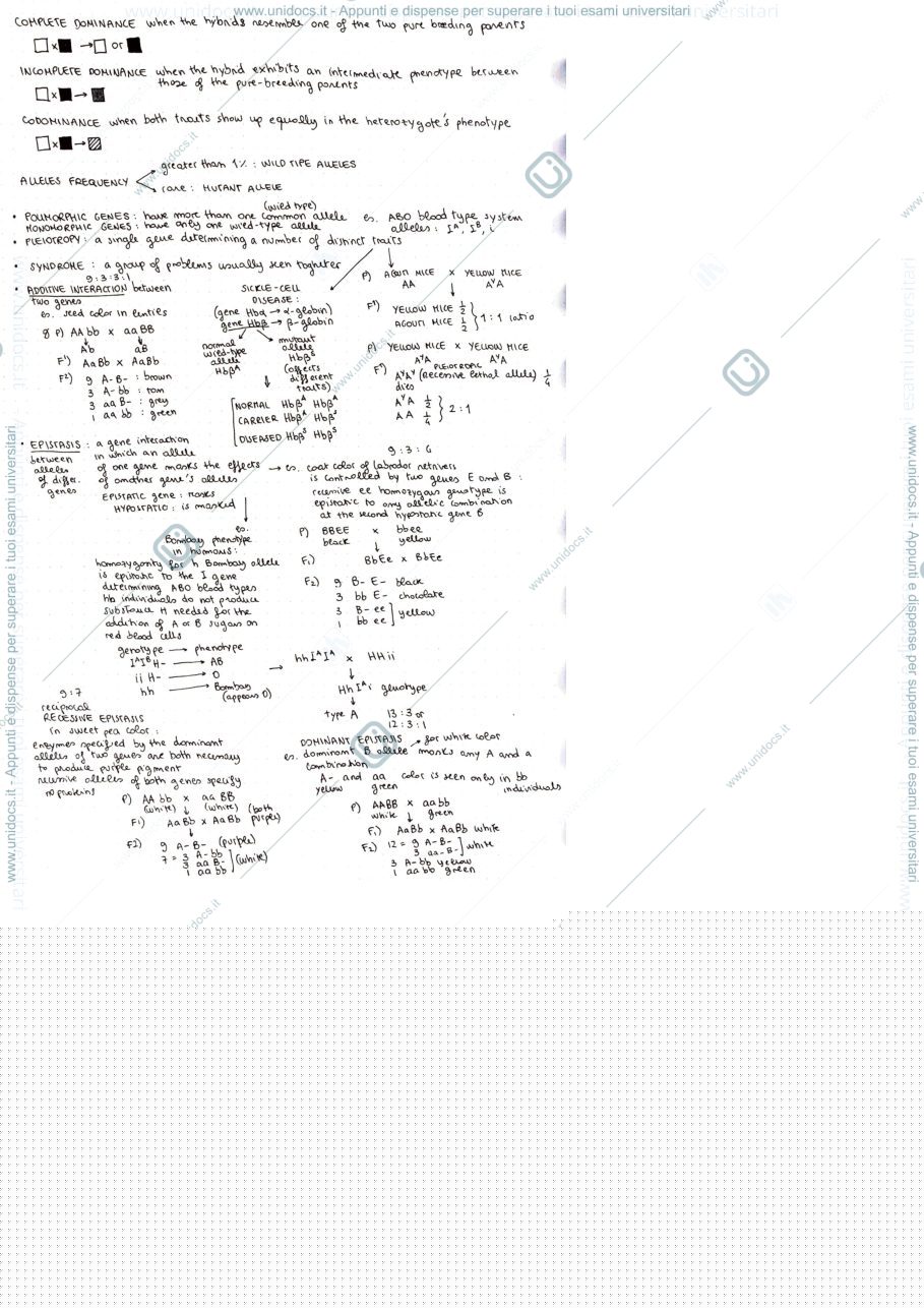 Anteprima pagina 2 — Genetics 