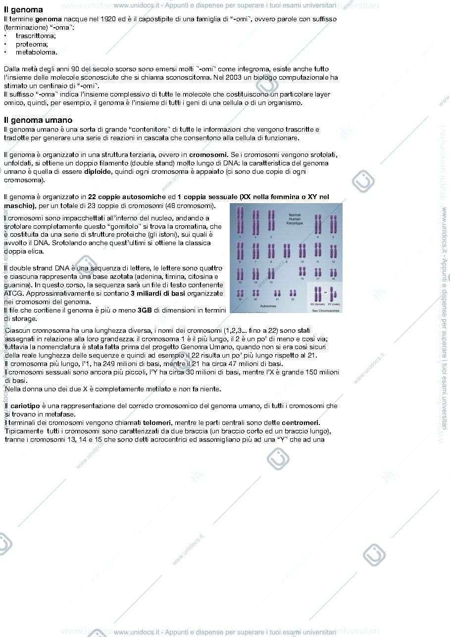Anteprima pagina 1 — Appunti genomica computazionale
