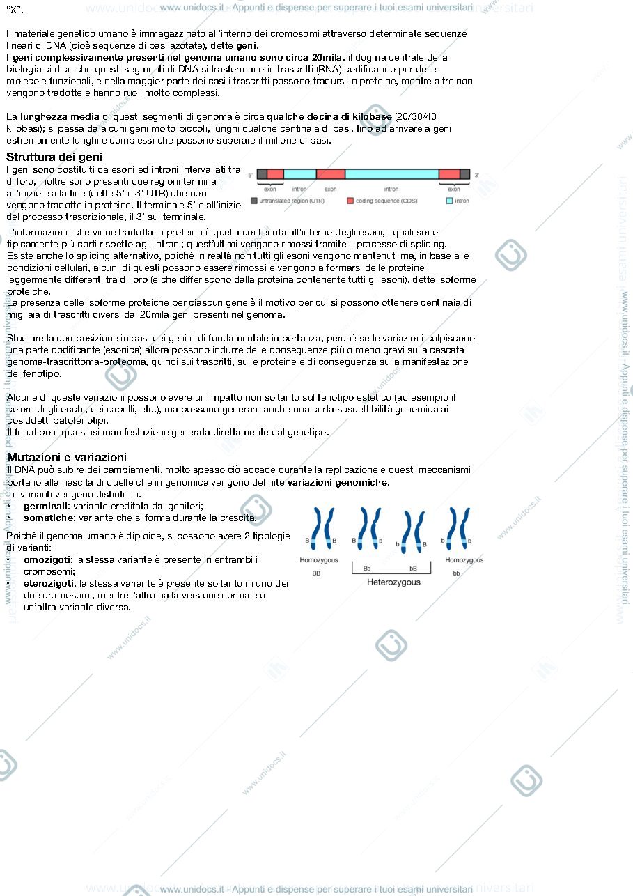 Anteprima pagina 2 — Appunti genomica computazionale