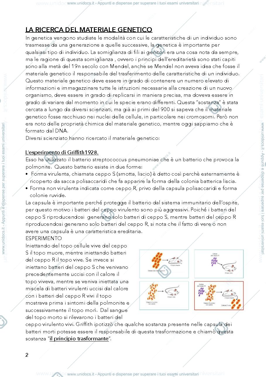 Anteprima pagina 2 — genetica microorganismi 