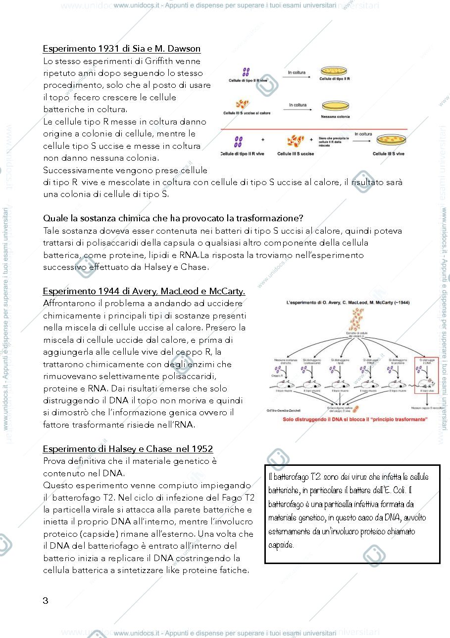 Anteprima pagina 3 — genetica microorganismi 