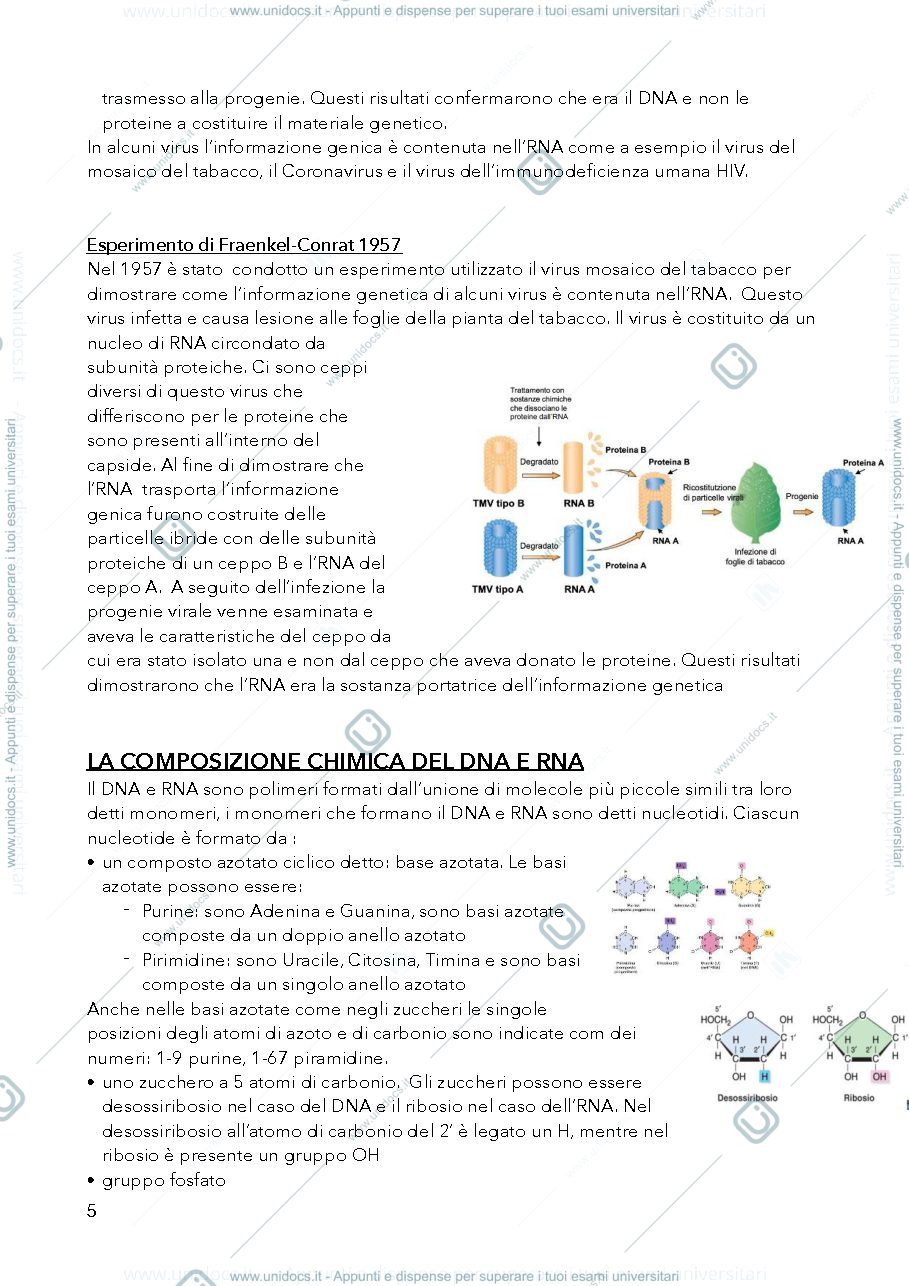 Anteprima pagina 5 — genetica microorganismi 