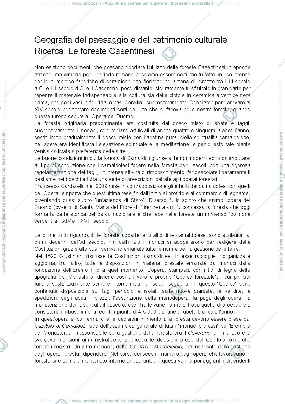 Anteprima pagina 1 — le foreste casentinesi