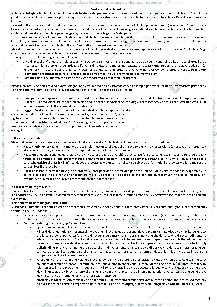 Anteprima pagina 1 — Appunti Geologia del Sedimentario (teoria)
