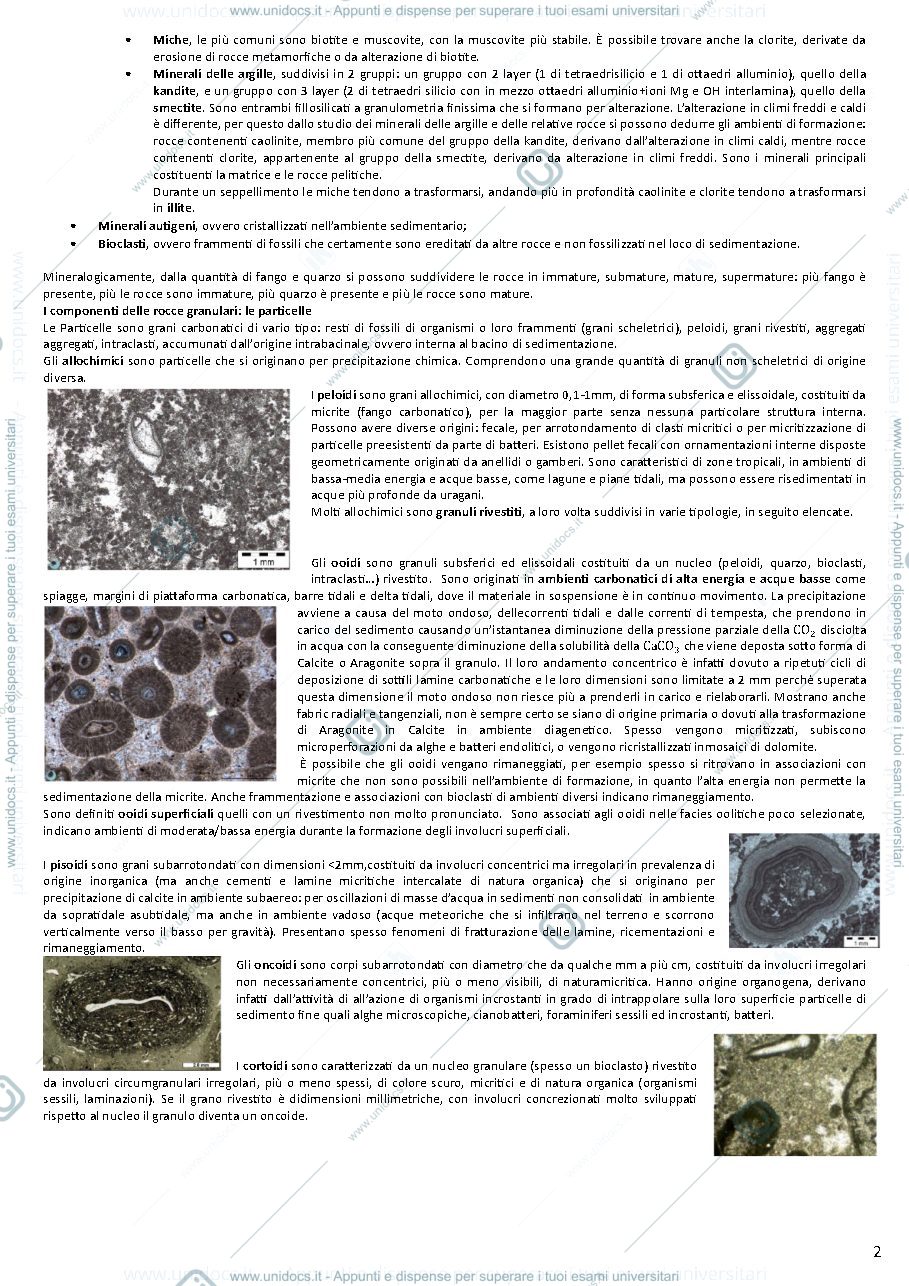 Anteprima pagina 2 — Appunti Geologia del Sedimentario (teoria)