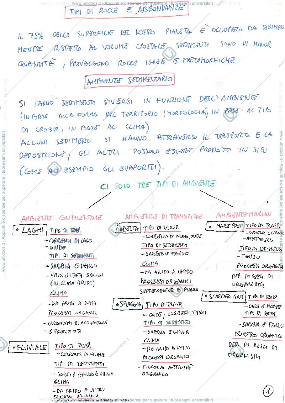 Anteprima pagina 1 — Geologia del sedimentario 