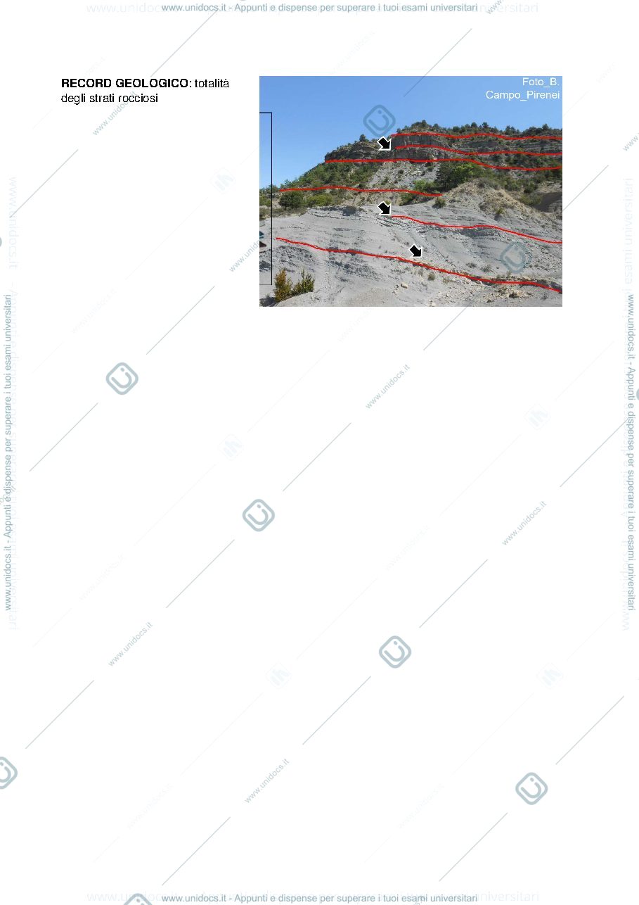 Anteprima pagina 2 — Riassunti modulo Campo 